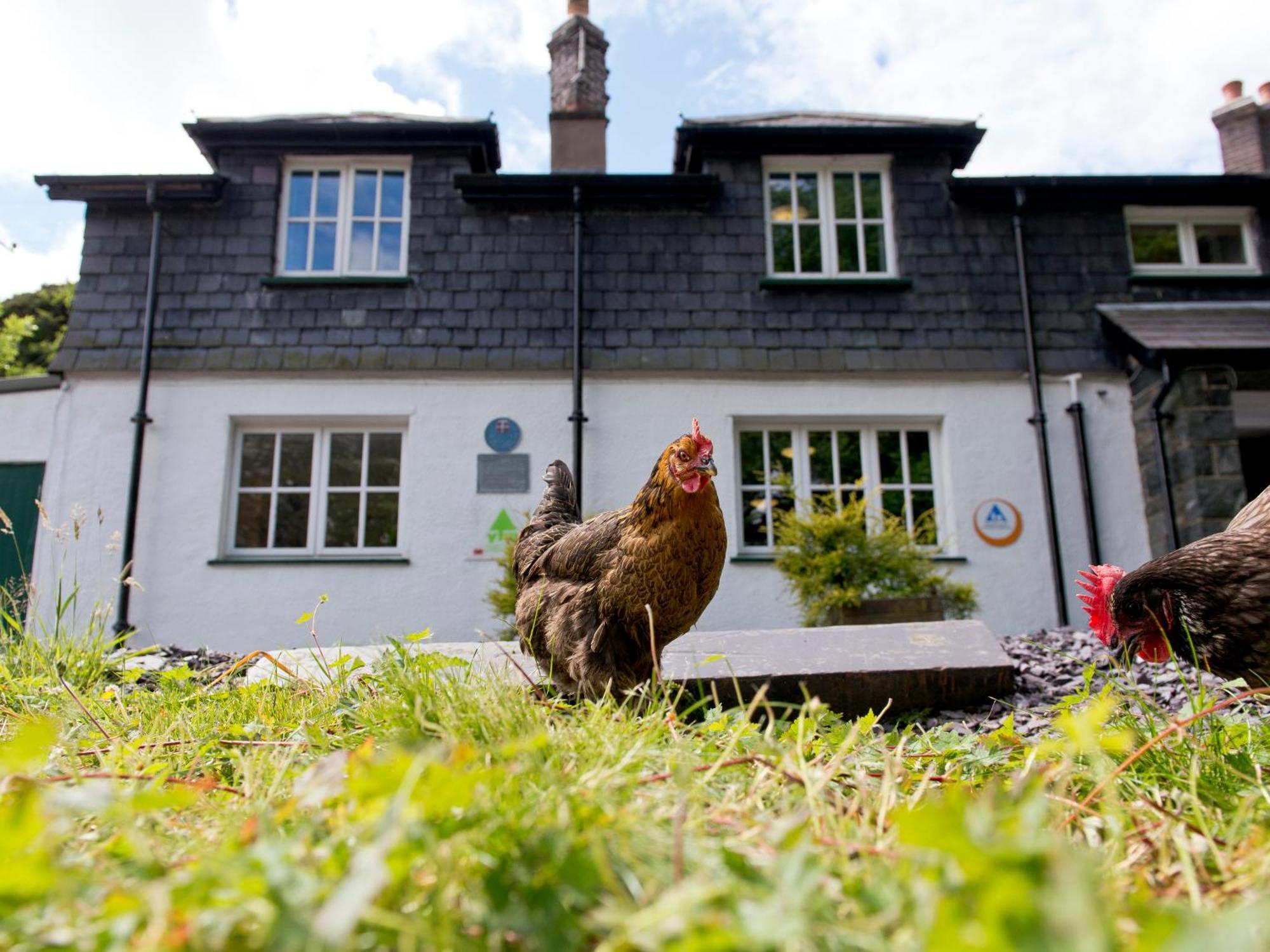 Yha Idwal Cottage Бетесда Екстер'єр фото